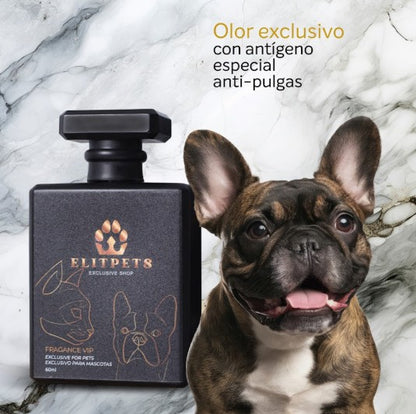 Fragance VIP Perros & Gatosx